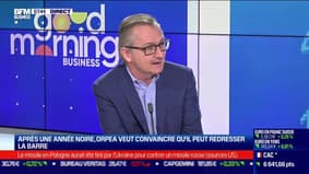 Laurent Guillot, directeur général d'Orpea: "Il y a eu des disfonctionnements mais l'entreprise a des atouts gigantesques"