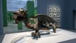 L'exposition "Animaux fantastiques" au Louvre-Lens, le 26 septembre 2023