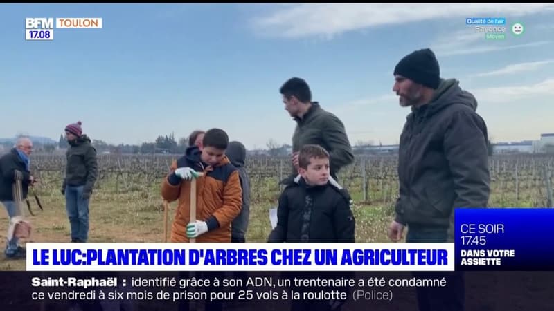 Le Luc: des élèves de CM1 plantent 250 arbres chez un agriculteur
