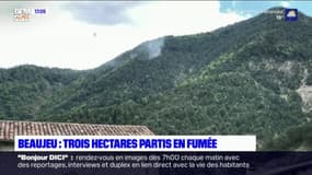 Feu de forêt à Beaujeu: trois hectares partis en fumée 
