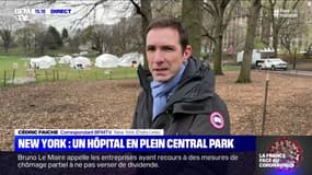 Coronavirus: un hôpital installé en plein Central Park, à New York