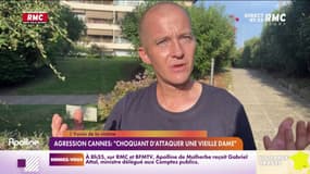 Agression d'une femme de 89 ans à Cannes : trois mineurs seront jugés en novembre