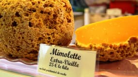 La mimolette vieille, qui fait l'une de nos fiertés fromagères, est jugée "dégoûtante" par les autorités sanitaires américaines.