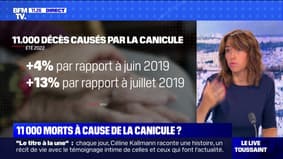 La canicule a-t-elle causé 11.000 morts cet été?