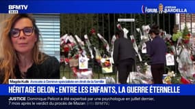 L'exclusion d'Anouchka Delon du testament de son père "est quasiment impossible à atteindre", affirme une avocate suisse