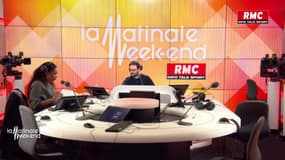 À 46 ans, cette buraliste bretonne est devenue pareuse de cochons domestiques