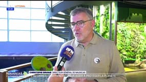 BFM Littoral dans les coulisses de la nouvelle exposition de Nausicaa : Le lagon tropical rouvert au public après deux ans de travaux