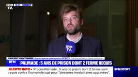 Procès Palmade: 5 ans de prison, dont 2 ferme, requis contre l'humoriste pour "blessures involontaires aggravées"