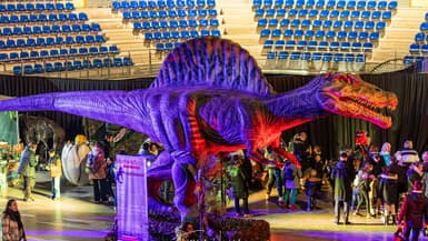 Des dinosaures animatroniques seront exposés à Troyes les 20 et 21 septembre