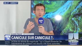 Après la canicule, Météo France prévoit un temps plus "tempéré"
