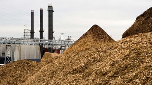 Le bois de récupération est l'un des combustibles possibles pour une centrale à biomasse.