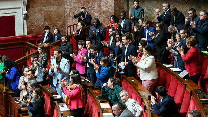 "Inacceptable": des députés noirs LFI visés par des messages négrophobes, leur parti demande une "condamnation unanime" de la classe politique