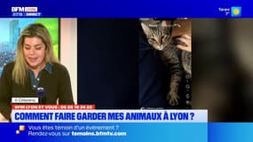 BFM Lyon et vous: comment faire garder vos animaux à Lyon?