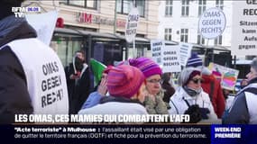 "Les Omas": ces grands-mères qui combattent l'AfD en Allemagne