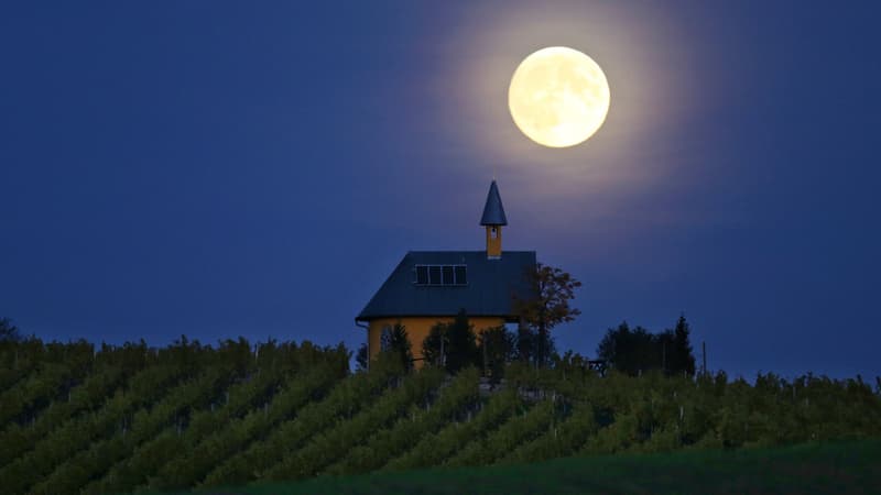 Superbe pleine lune photographiée le 26 octobre au-dessus d'un vignoble près de Bergtheim, dans le sud de l'Allemagne.