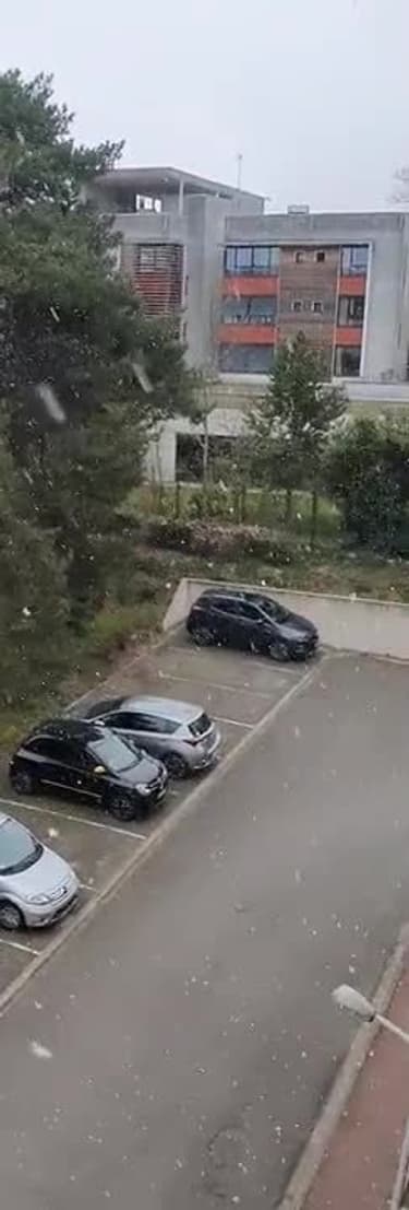 Yvelines : la neige est de retour à Rambouillet - Témoins BFMTV