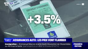 Les prix des assurances auto vont augmenter de 3,5% en moyenne en 2024