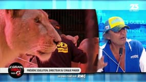 Le directeur du cirque Pinder viré du clip des Enfoirés par des associations de protection des animaux