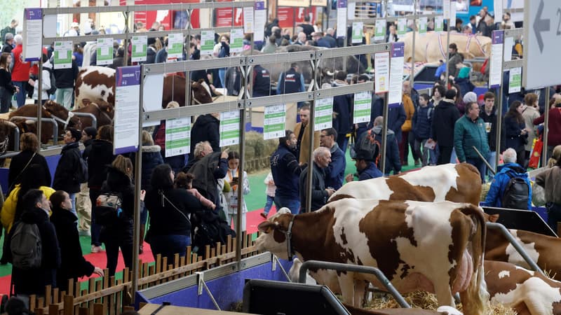 Des visiteurs au Salon de l'agriculture, Porte de Versaille à Paris, le 26 février 2024.