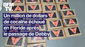 Tempête Debby: plus d'un million de dollars de cocaïne s'échoue sur une plage de Floride