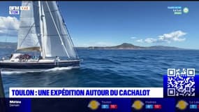 Toulon: une expédition autour du cachalot pendant cinq jours