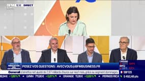 Pierre Pelouzet, Dimitri Pivot, Philippe Fourquet: Médiateur des entreprises, une aide pour les entrepreneurs - 17/11