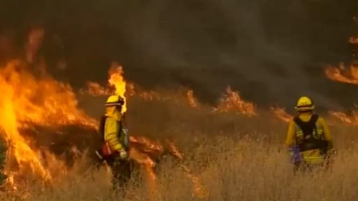 Quelque 2.000 pompiers luttent contre le sinistre avec l'aide d'hélicoptères et d'avions canadairs.
