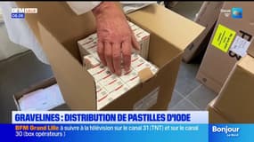 Gravelines: distribution de pastilles d'iode depuis la mi-septembre