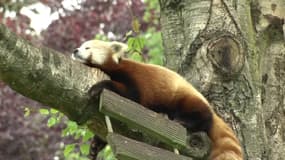 Plutôt que la mer ou la montagne, ces vacanciers ont opté pour... un zoo safari