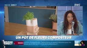 "J'ai testé pour vous": le pot de fleurs composteur