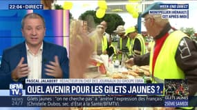 Quel avenir pour les gilets jaunes ?