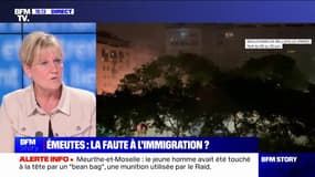 Nadine Morano: "La revendication de ceux qui cassent, c'est la haine de la France"