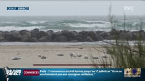 "Pas besoin d’aller dans des endroits très exotiques pour voir des choses magnifiques": les Français pourront partir en vacances en France cet été 