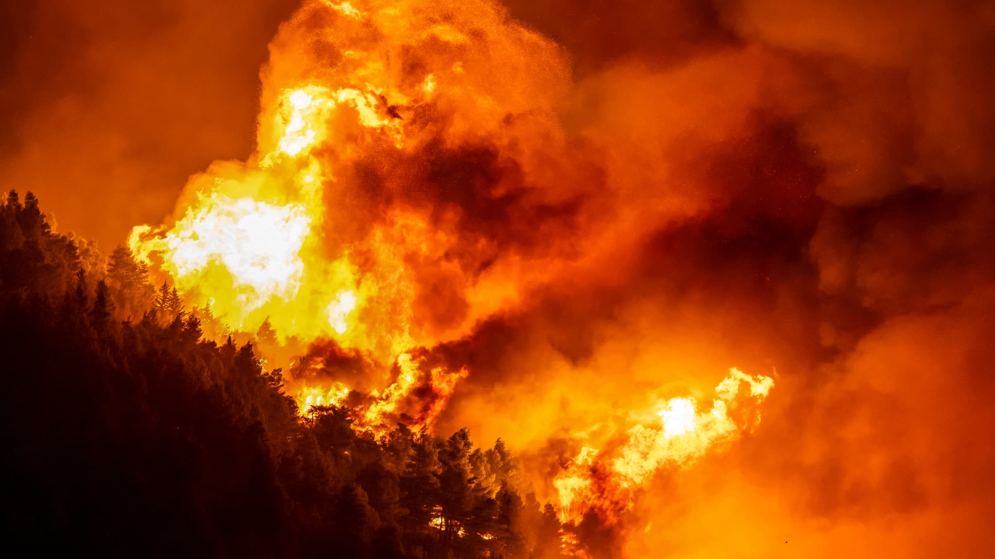 Feu de forêt sur le littoral croate dans la nuit du jeudi 13 au vendredi 14 août 2026