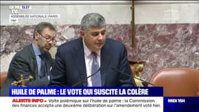 Vote polémique sur l'huile de palme: la Commission des finances accepte une 2e délibération sur l'amendement voté jeudi
