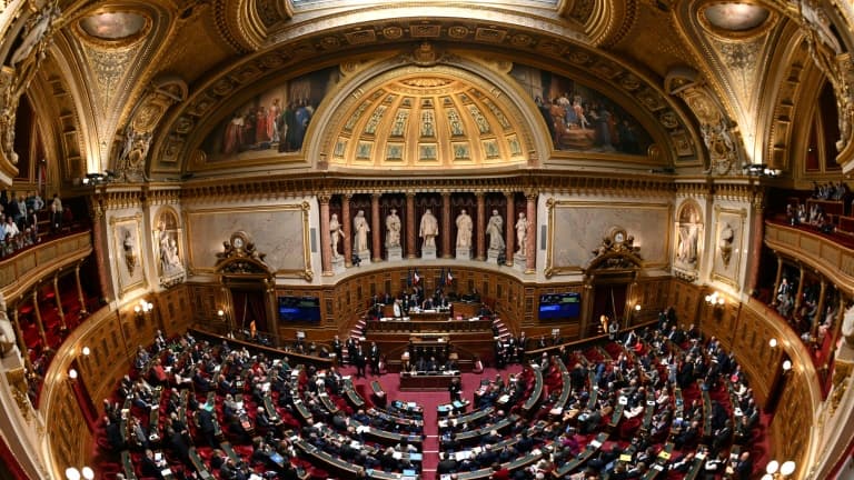 Les membres du Sénat réunis en session, le 2 avril 2024 à Paris (illustration).