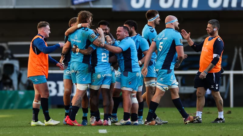 Top 14: "On peut rivaliser", Montpellier se déplace à Toulouse avec une équipe remaniée mais pas sans ambition