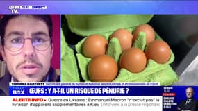 Œufs : y a-t-il un risque de pénurie ? - 15/03