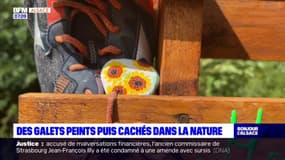 Alsace: peindre des galets et les cacher dans la nature, un jeu de piste à grande échelle