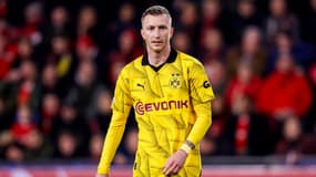 M. Reus