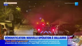 Vallauris: une opération de démoustication organisée