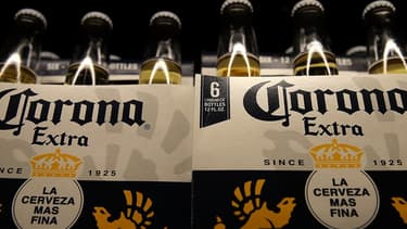 Constellation Brands, le propriétaire de la bière Corona, va porter sa au capital de la société canadienne Canopy à 38%.