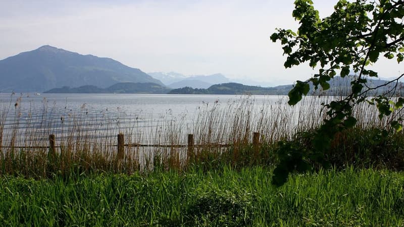 Le lac de Zug