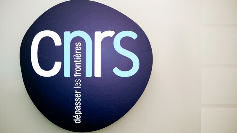 Le logo du Centre national de la recherche scientifique (CNRS), le 7 décembre 2012 à Paris