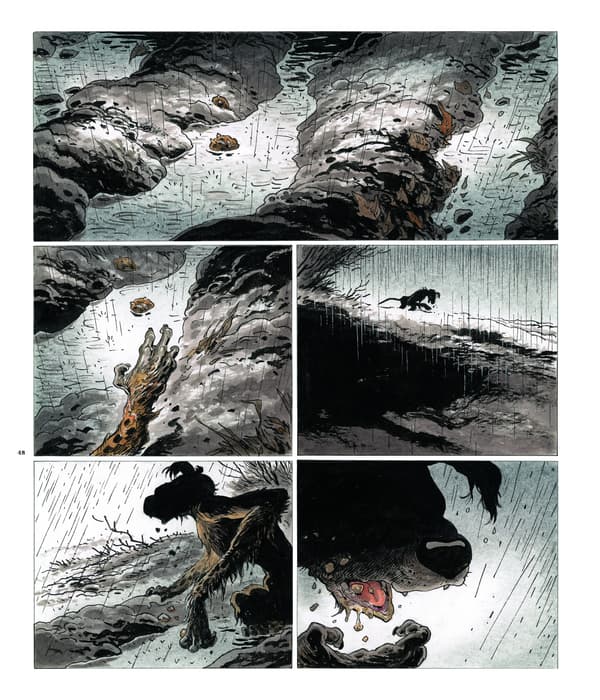 Le Marsupilami réaliste du dessinateur Frank Pé Le Marsupilami réaliste du dessinateur Frank Pé