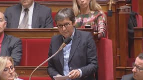 "Nous tremblons aujourd'hui d'effroi pour Serge Lazarevic", a lancé la députée PS Valérie Fourneyron dans une question sur le terrorisme