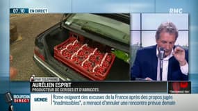"Marre de voir les agriculteurs pointés du doigt": le coup de gueule d'un producteur de cerises