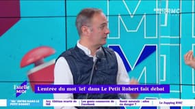 Julien Damon : "Aujourd'hui, on empêche les jeunes de pouvoir parler, lire et écrire un français clair. Cet ajout, c'est du délire"