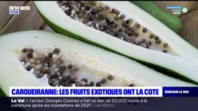 Var: la culture de fruits exotiques pour s'adapter au réchauffement climatique