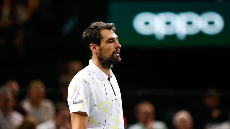 Chardy
